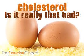 cholesterol.2